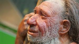 Neanderthal footprints found in Tanzania: What ancient tracks reveal about  sex lives