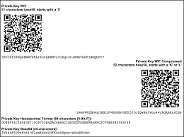 This function returns a public key that is mathematically connected to our private key. How To Get Btc Private Key How To Get Bitcoin Diamond Ledger