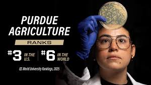 Dr. Bruce Applegate and collaborator Dr. Euiwon Bae have developed  smartphone technology, coupled with the use of phage that helps reduce the  typical amount of time it takes to test food samples