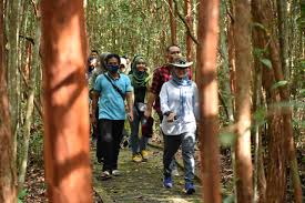 Manfaat hutan wisata dilihat dari kesejahteraan. Bersama The Localenablers Ibu Melati Eksplorasi Objek Wisata Di Pulau Bangka Provinsi Kepulauan Bangka Belitung