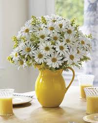 Proflowers.com has been visited by 10k+ users in the past month Photos Of Poisonous Plants And Flowers For Cats