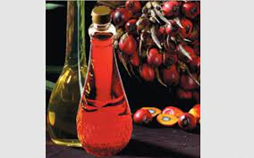 Kelapa sawit means oil palm in bahasa malaysia. Hampas Kelapa Sawit In English