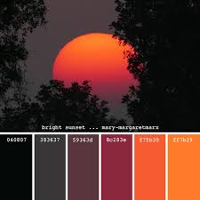 Color Palette Bright Sunset Color Palette Bright Orange Color Palettes Sunset Color Palette