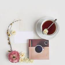 صور تصاميم rosie pic 03 fotos e videos do instagram instagram pics flowers