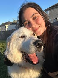 Zander is doing his best French Model impression in hopes someone out there  knows how special he is and is not afraid to adopt a spina bifida dog. So  many positives about