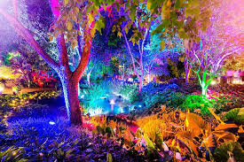 Maybe you would like to learn more about one of these? The Enchanted Garden Roma Street Parkland Must Do Brisbane