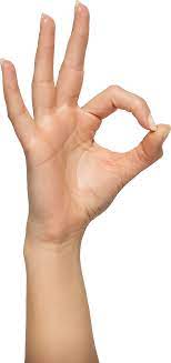 Hands Png881 Png 2087 4427 Finger Hands Hand Reference Ok Hand Sign