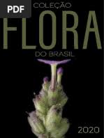 Image result for Eriocaulon angustibracteatum