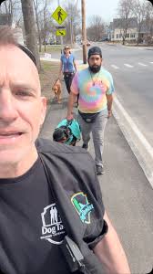 What does a structured walk even mean? , #balancedtraining #dogwalking