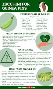 Research suggests that eating foods rich in carotenoids could slow or lower your risk of developing cardiovascular disease. 8 Best Zucchini Benefits Ideas Zucchini Benefits Zucchini Zucchini Health Benefits