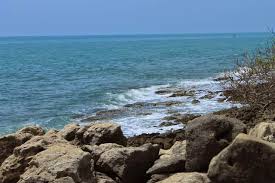 We did not find results for: Bukan Bali 11 Pantai Cantik Ini Ada Di Madura Pantai Di Madura