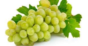 الحجر الزراعى الصينى يوافق على فتح الأسواق أمام العنب المصرى ...