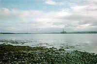 Petroleum berasal dari bahasa laitn, yaitu gas alam berada di lapisan atas minyak bumi di suatu cekungan cukup banyak dan secara. Petroleum Wikipedia Bahasa Melayu Ensiklopedia Bebas