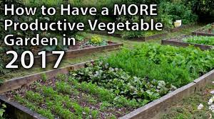 Check spelling or type a new query. 10 Ways To Make Your Vegetable Garden More Productive In 2017 And Beyond Youtube