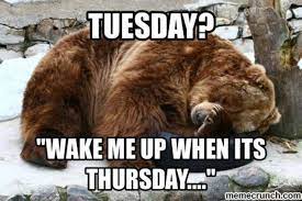 Pin On Tuesday Quotes And Memes