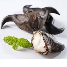 Amazing uses of water chestnut. China Water Chestnut Extract Water Caltrop Extract Singharanut Powder China Water Chestnut Extract Water Caltrop