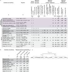 However, it is a process that still makes atp and it is. Quantifying Intracellular Rates Of Glycolytic And Oxidative Atp Production And Consumption Using Extracellular Flux Measurements Journal Of Biological Chemistry