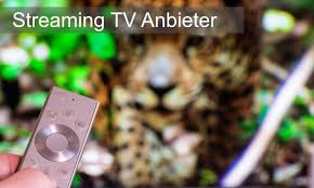 The transmissions are the same that are transmitted by the traditional system. Streaming Tv Anbieter Im Vergleich Mai 2021