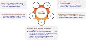 A guide to taking a chest pain history in an osce setting with an included osce checklist. Scct 2021 Expert Consensus Document On Coronary Computed Tomographic Angiography A Report Of The Society Of Cardiovascular Computed Tomography Journal Of Cardiovascular Computed Tomography