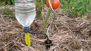 Check spelling or type a new query. 5 Accessoires Pour Arroser Differemment M6 Deco Fr