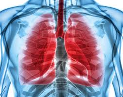 Grafische darstellung einer an copd erkrankten lunge: Chronisch Obstruktive Lungenerkrankung Copd Update Arztcme