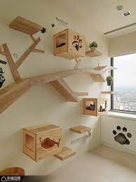 壹木宠物大型猫爬架大型猫墙猫窝猫树可定制猫爬架 淘宝网 cat room cat furniture cat playground