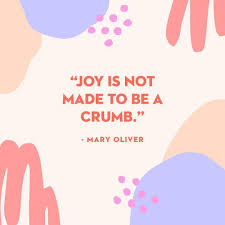 Ingrid Fetell Lee On Instagram If You Suddenly And Unexpectedly Feel Joy Don T Hesitate Give In To It There Are Plenty Of Live Joy Quotes Joy Mary Oliver