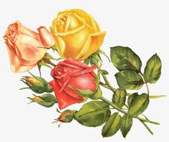 Yellow flower transparent png clip art image gallery. Rose Yellow By Jinifur On Clipart Library Yellow Flower Vintage Png Transparent Png 900x671 Free Download On Nicepng