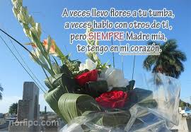 22 frases para reflexionar en el día del planeta tierra, que se celebra anualmente cada 22 de abril. Versos Para Mi Madre Que Murio Fallecio Y Ahora Esta En El Cielo