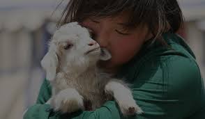 Baby Cashmere Our Excellences Loro Piana