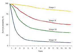 Understanding How Melanoma Is Staged Mcreyscopes Musings