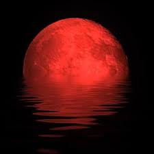 Install our keyboard with red moon anime theme now for free!. Ark Red Moon On Twitter I Added A Video To A Youtube Playlist Https T Co Lq6qsx36nj Top 10 Anime Where Many Girls Chase After One Guy Part 2 Hd