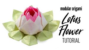 Keep in mind, however, that kids shouldn't use scissors. Paper Kawaii Origami Paper Craft Tutorials How To Make A Modular Origami Lotus Flower Facebook