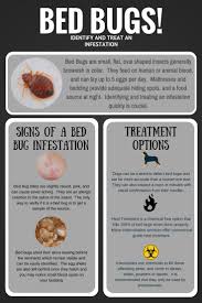 What should homeowners know in order to get rid of bed bugs? 9 Effective Remedies To Get Rid Of Bed Bug Bites Bed Bug Bites Bed Bugs Infestation Bed Bugs