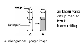 Cara mengatasi air keruh karena air telah mengalami oksidasi ada 2 menurut saya. Sistem Pernapasan Pada Manusia Cahaya Mentari