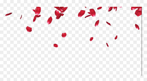 See more ideas about gif, falling gif, aesthetic gif. Falling Flower Petals Png Transparent Png Vhv
