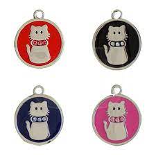 kopek tasmalari panosundaki pin