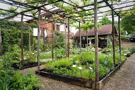 pin on site conseil jardinage