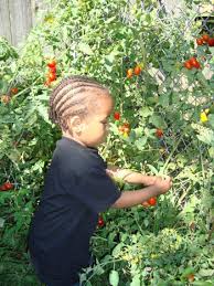 Teachers may use gold® objectives for development & learning for alakids to save time collecting assessment information during kindergarten entry. Early Childhood Center Curriculum Standards And Objectives