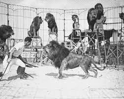 The Original Lion Tamer Clyde Beatty Circa 1930s 1217x970 Imgur Lion Tamer Vintage Circus Lions