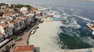 Müsilaj (deniz salyası) ne demek? Hufqttzbe Ctnm