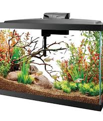 Widescreen Fish Tank Super Cool Fish Tanks Cool Fish Tanks Fish Tank Cool Fish