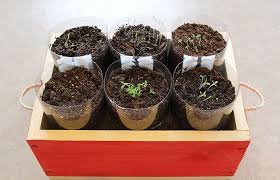 Garten Ohne Bewasserung In 2 Einfachen Und Effektiven Tutorials Zu Erkunden Dekoration Idees De Jardinage Fleurs Sans Arrosage Potager Permaculture