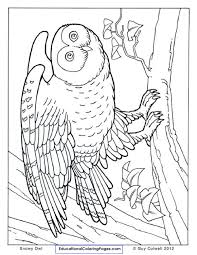 We did not find results for: Natural Coloring Books Owl Coloring Pages Animal Coloring Pages Farm Animal Coloring Pages