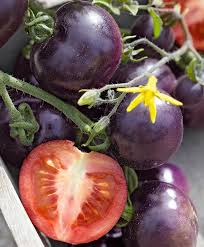 Epingle Sur Potager