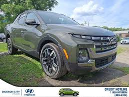 Image result for Rockwood Green 2025 Santa Cruz