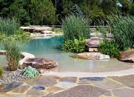 Insurance Articles Information Backyard Beach Natural Swimming Ponds Backyard Pool