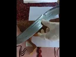 Periksa panduan penggunaan batu asah mengenai pelumasan. Teknik Yang Betul Untuk Asah Pisau Dan Cara Betul Nak Test Pisau Betul Betul Tajam Atau Tak Youtube