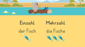 The declension of the noun haus is in singular genitive hauses and in the plural nominative häuser. Nomen Und Ihre Begleiter Auf Deutsch Online Lernen Sofatutor