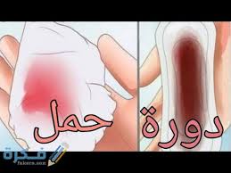 متى ينزل دم تثبيت الحمل بالتفصيل موقع فكرة